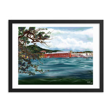 Load image into Gallery viewer, U. S. Virgin Islands St. Croix Framed poster