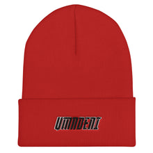 Load image into Gallery viewer, UMNDENI Cuffed Beanie
